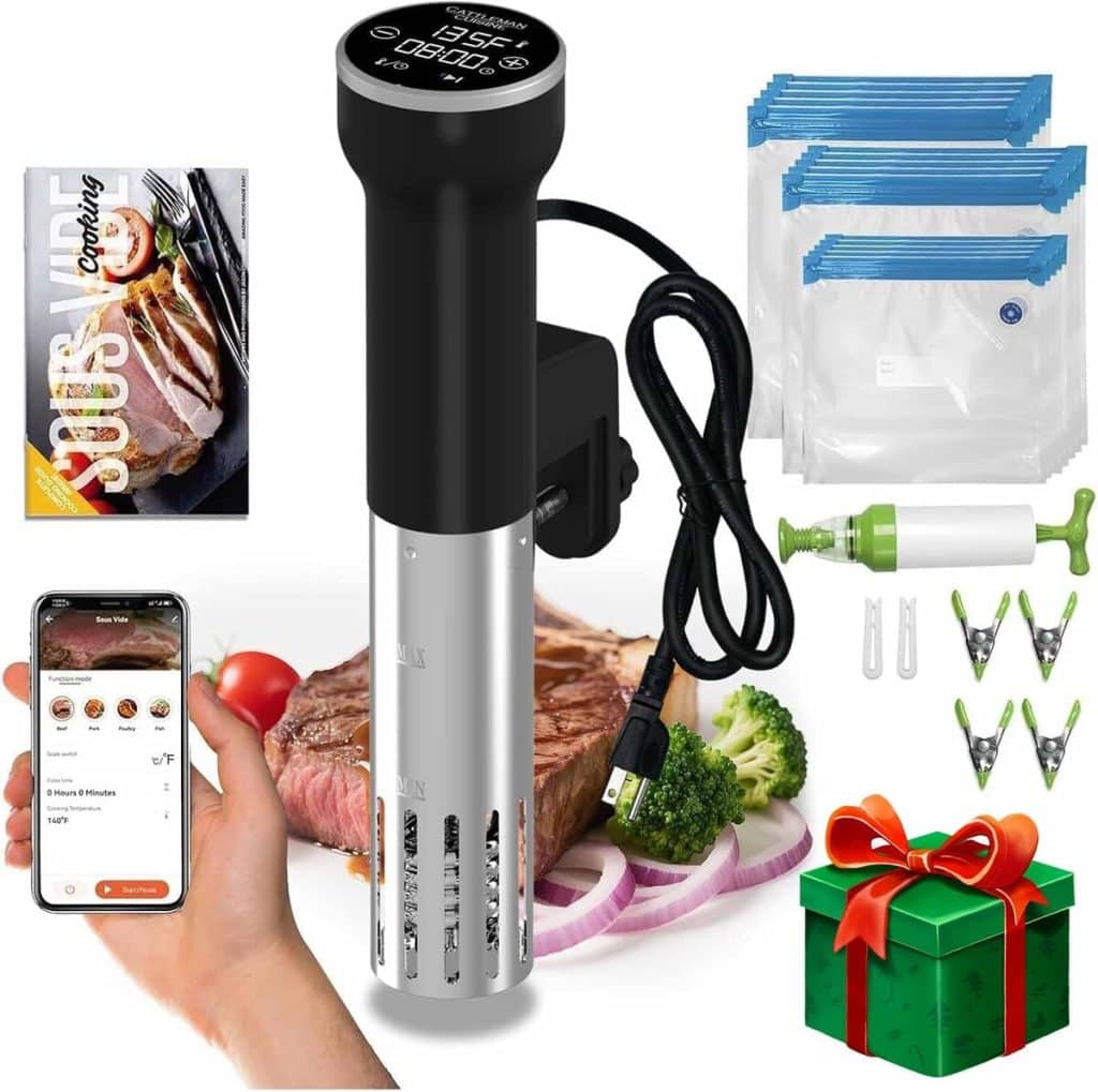 Test du kit WiFi 1000 W pour cuisinière sous vide